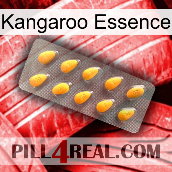 Kangaroo Essence cialis1.jpg